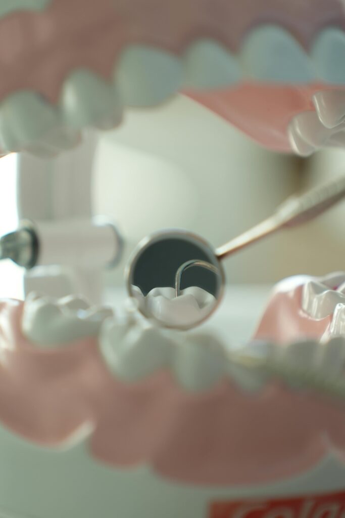Close-up view of dental tools and model teeth, used for dental education and practice.